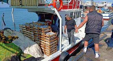 Batı Karadeniz'de avlanan 50 tekneden 10'u balıkla dönüyor
