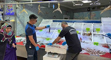 Bilecik'te açılan balık sezonunun ilk denetimi