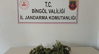 Bingöl'de uyuşturucuyla mücadele sürüyor