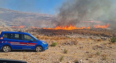 Bodrum'da otluk alanda yangın