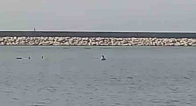 Boğulma tehlikesi geçiren genci vatandaşlar kurtardı