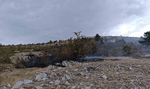 Bolu'da facianın eşiğinden dönüldü: Örtü yangını ormana sıçramadan söndürüldü