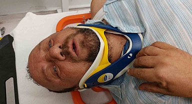 Boynunu arı sokan tır sürücüsü aracını devirince kazada hastanelik oldu