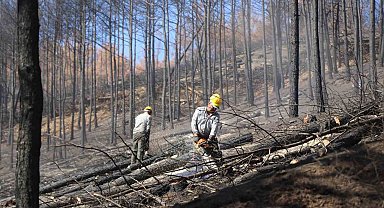 Bozdoğan'da yanan ormanlık alanda incelemelerde bulunuldu