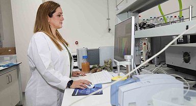 BTÜ'lü akademisyenler kozalak şuruplarının içeriğini araştıracak