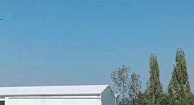 Bursa'da başıboş atlar cirit atıyor