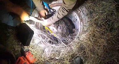 Bursa'da rögara düşen koyunlar kurtarıldı