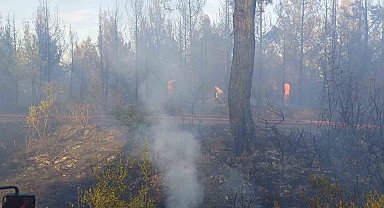 Çanakkale'daki orman yangını kontrol altına alındı