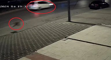 Çarptığı genç yaşamını yitirdi, vicdansız sürücü kaçtı