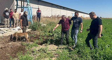 Dayısını öldürüp gömdü başında ağladı