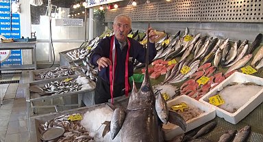 Denizlerde palamut ve kılıç balığı bolluğu tezgahlara yansıdı