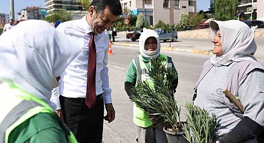 Denizli'de susuzluğa dayanıklı yeşil bitki dönemi başlıyor