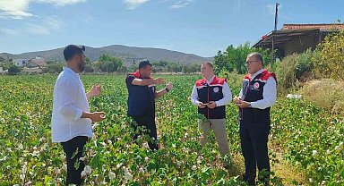 Didim'de üretim alanları kontrol edildi