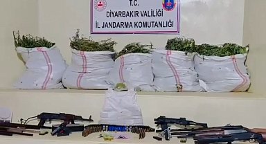 Diyarbakır'da 15 milyon 882 bin kök kenevir ve skunk, 2 buçuk ton kubar esrar ele geçirildi: 36 gözaltı