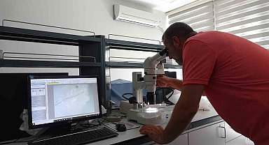 Doç. Dr. Ercoşkun: "Çankırı'nın meşhur tuzu, yaklaşık 50 milyon yıl önce oluşmuştur