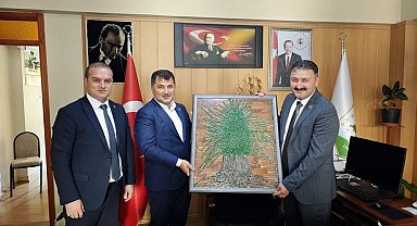 Düzce Milletvekili Öztürk'ten Alaplı ve Gümeli'ye ziyaret