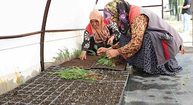 Düzce'de tarımda yenilikçi adımlar