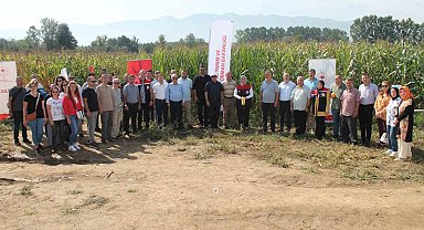 Düzce'de yerli silajlık mısır tarla günü düzenlendi