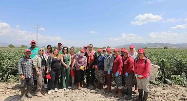 Efeler'in projeleri takdir topluyor