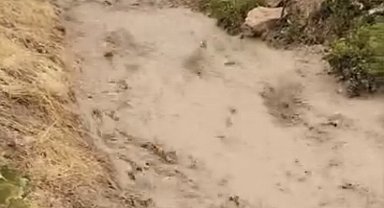 Elazığ'da sağanak dereleri taşırdı
