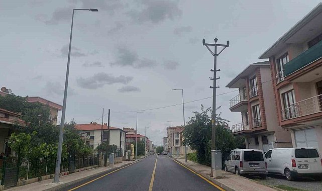 Elektrik direğinde kumru yuvası bulundu, çalışma ertelendi