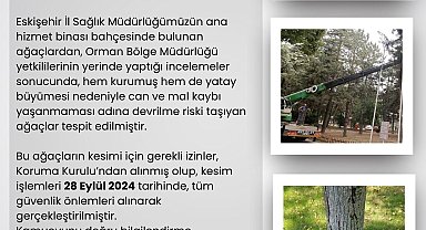 Eskişehir İl Sağlık Müdürlüğü'nün bahçesindeki riskli ağaçlar kesildi