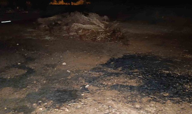 Ev yangını ihbarına giden itfaiye yanan susamlarla karşılaştı