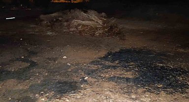 Ev yangını ihbarına giden itfaiye yanan susamlarla karşılaştı