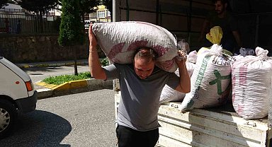 Fındık fiyatı haftaya düşüşle başladı