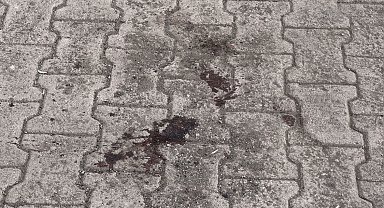 Fransız turiste Tatvan'da bıçaklı saldırı