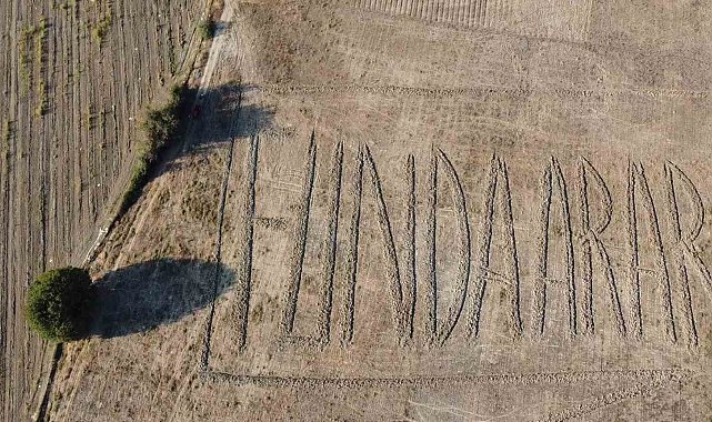 Funda Arar hayranlığı tarlaya traktörle isim yazdırdı