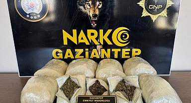 Gaziantep'te 5 kilo skunk ele geçirildi