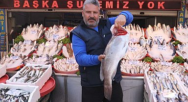 Gaziantep'te havaların serinlemesiyle balık satışları arttı