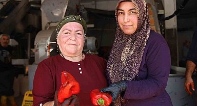 Gaziantep'te kadınlar ekmeklerini 'acı'dan çıkarıyor