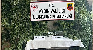 Germencik'te uyuşturucu operasyonu: 1 gözaltı