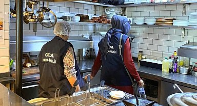 Gıda işletmelerine yönelik denetim
