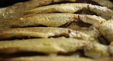 Gümüşhane'nin alabalık tesisleri gastronomi turizmine can veriyor