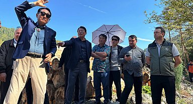 Güney Koreli ormancılar, Bolu'daki ormancılık çalışmalarını inceledi