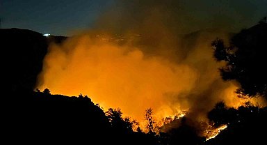 Hatay'da orman yangını