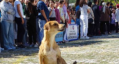 Hisarcık'ta İlköğretim Haftası kutlamalarında sevimli köpek ilgi odağı oldu