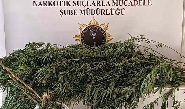 İkametinden bin 248 gram esrar çıktı, tutuklandı