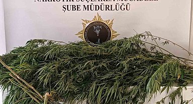 İkametinden bin 248 gram esrar çıktı, tutuklandı