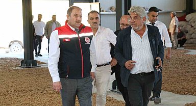 İşadamı Kemaliye'de 5 bin badem ağacı dikti