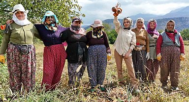 İşçi kadınlar önce hasat ettiler sonra halay çektiler