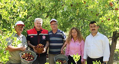 Isparta'da hünnap hasadı başladı