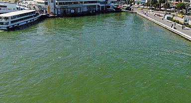 İzmir Körfezi'nde bilindik manzara: Yine binlerce ölü balık görüldü