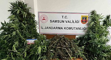 Jandarma 7 kilo kubar esrar ele geçirdi