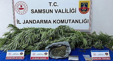 Jandarma ekiplerince uyuşturucu madde ele geçirildi