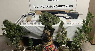 Jandarmadan uyuşturucu operasyonu:6 gözaltı