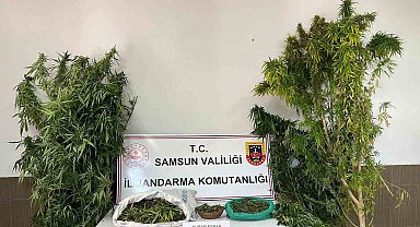 Jandarmadan uyuşturucu operasyonu